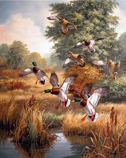 Mallards Landing_jpg