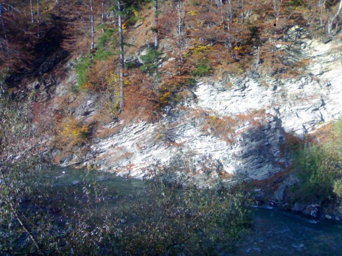 171020081600 - Toamna peisaje