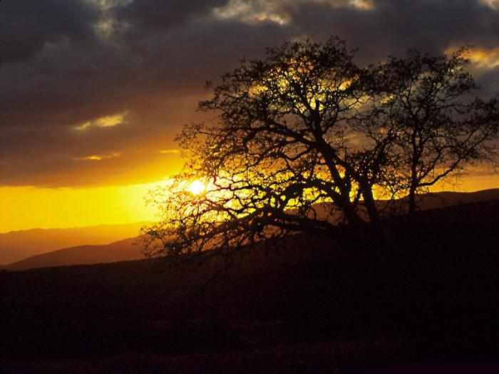 Sunset_06