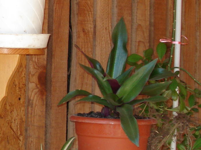 DSC09328
