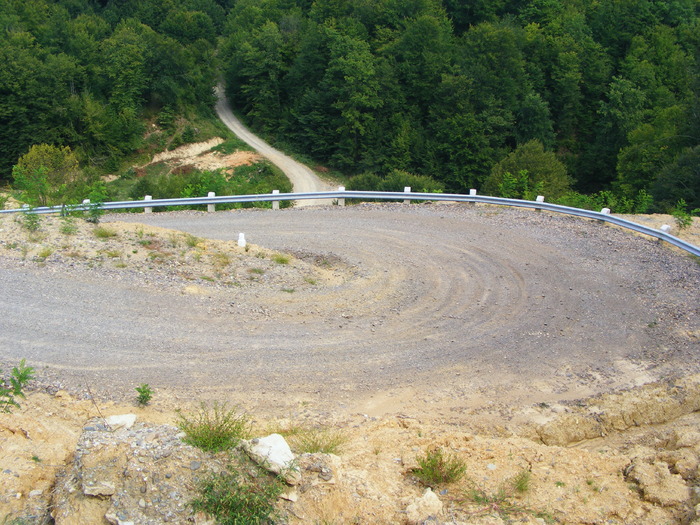 DSCF5412