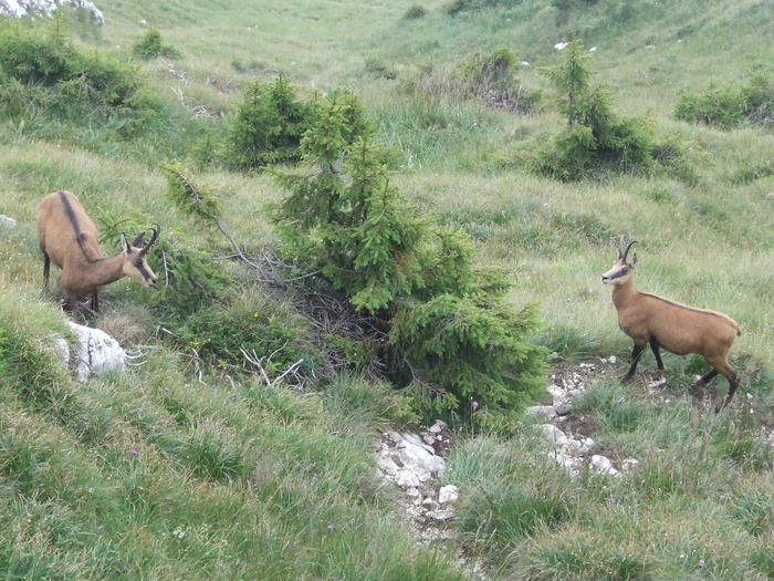 2009_08210209; Romania
