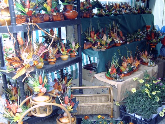 DSC00052 - Expozitie flori Timisoara  luna Mai 2008