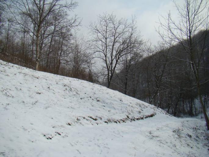 DSC02262 - 2008-02-11 - La Pucioasa-Targoviste-Fieni