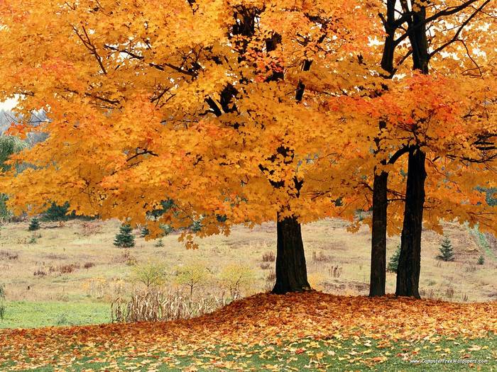 Les Eboulements, Quebec, Canada - Very Beautiful Nature Scenes