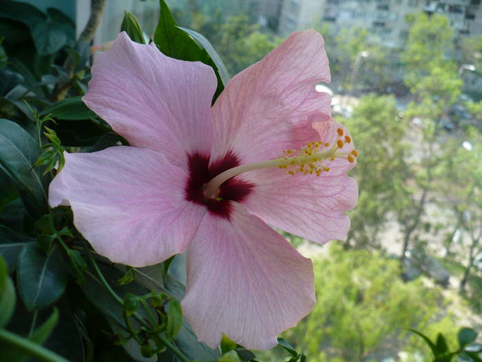 P1110449