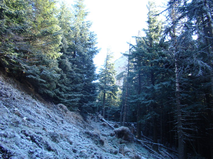 DSC04609
