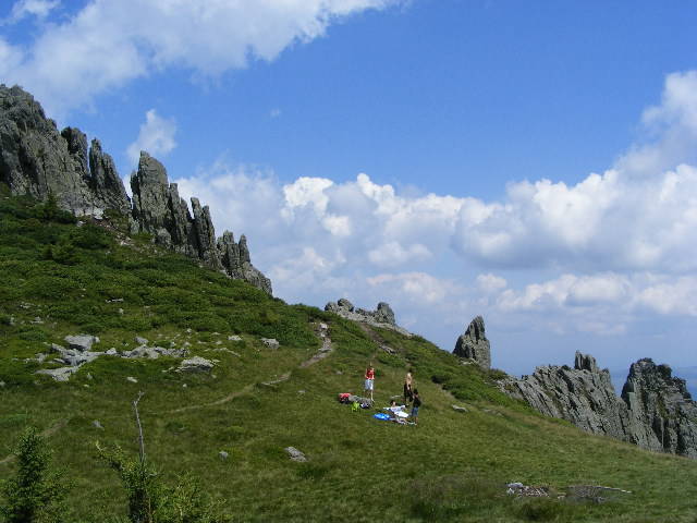 DSCF3174