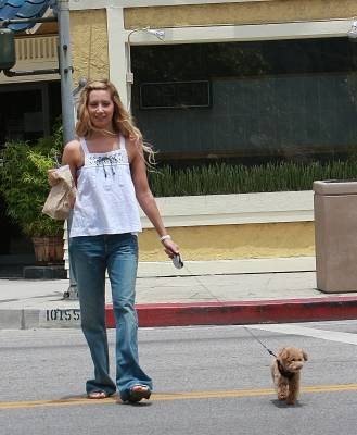 normal_006 - ashley tisdale