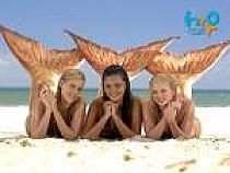 images - Toate_pozele din_albumele_mele