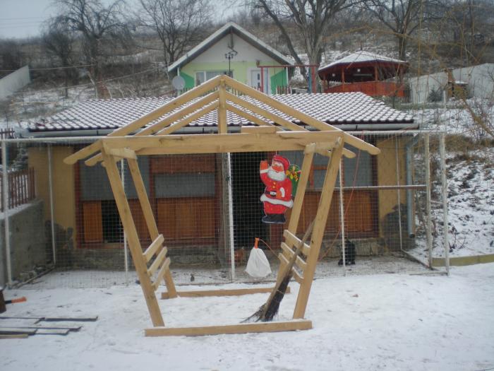 adapostu de porumbei si gaini