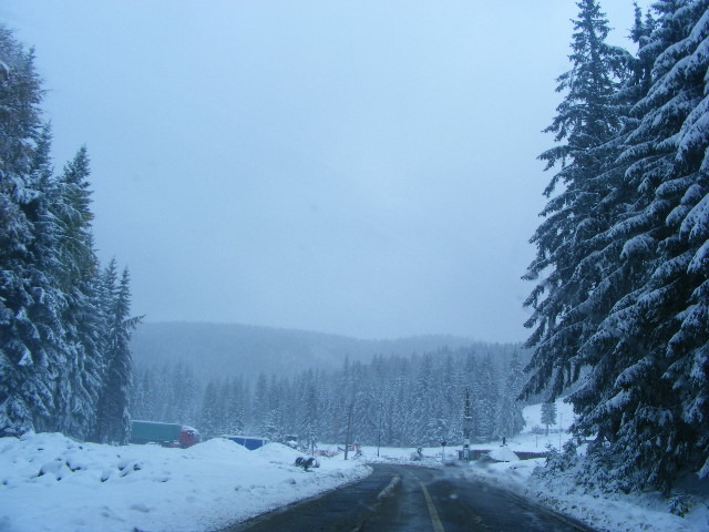 DSCF7295 - ninge in Maramu