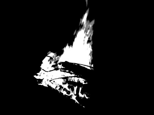 Copy of P8190075 - diverse