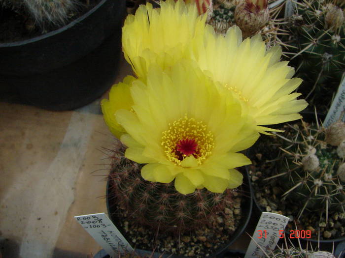 DSC05901
