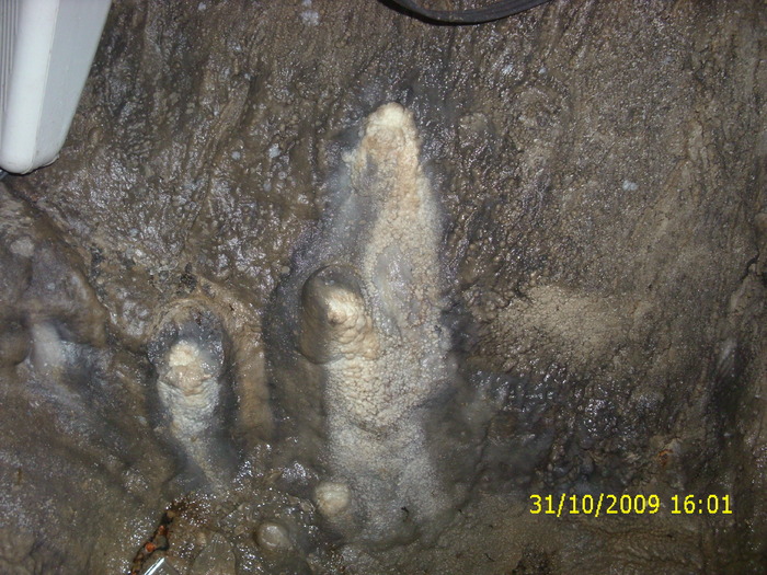 Pestera Polovragi