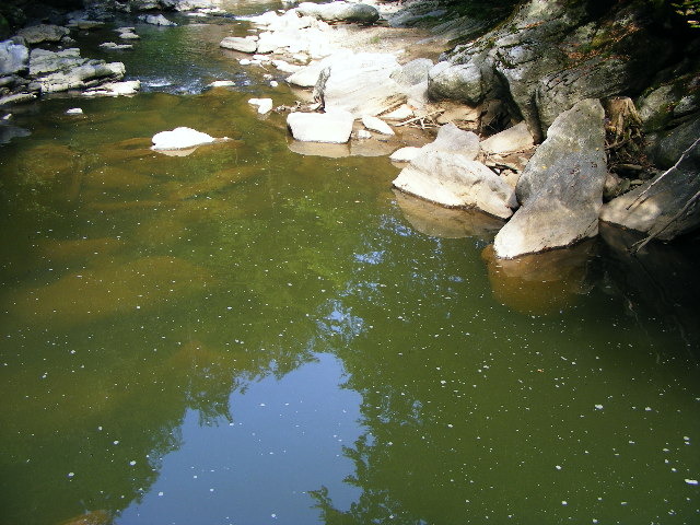 DSCF5185