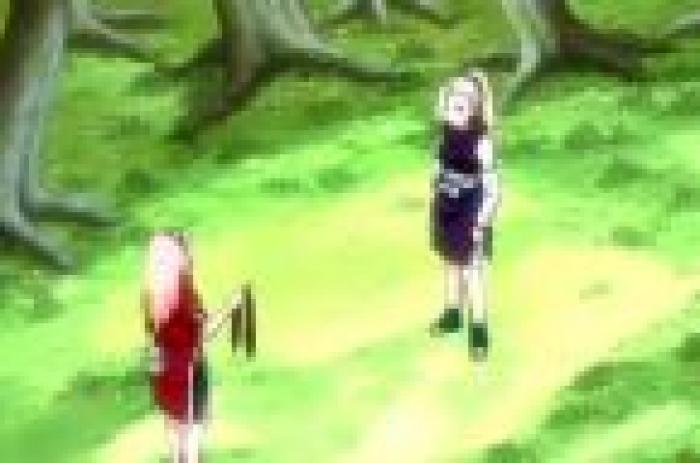 ino and sakura - naruto