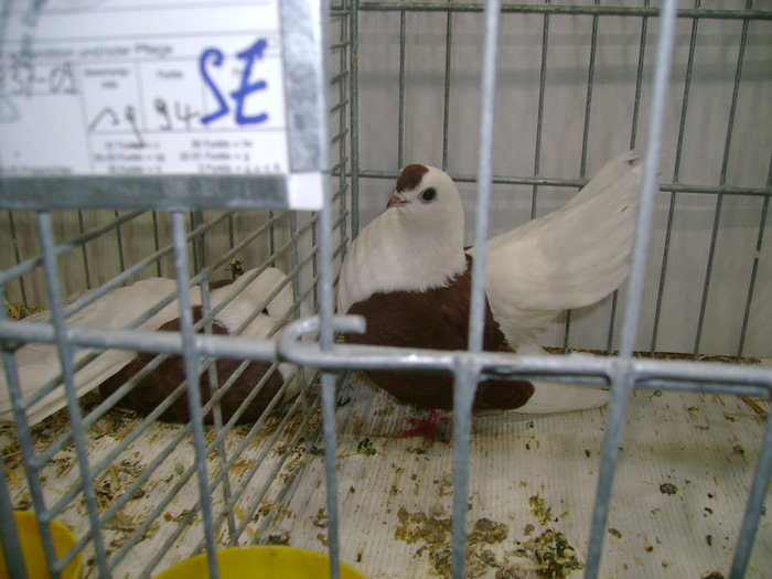 leipzig dec 2009 051