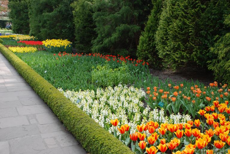 Afbeelding 702 - Keukenhof 2008