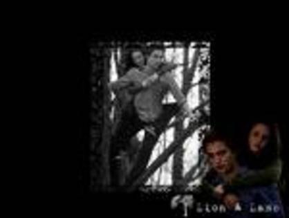 twilight - Twilight 13