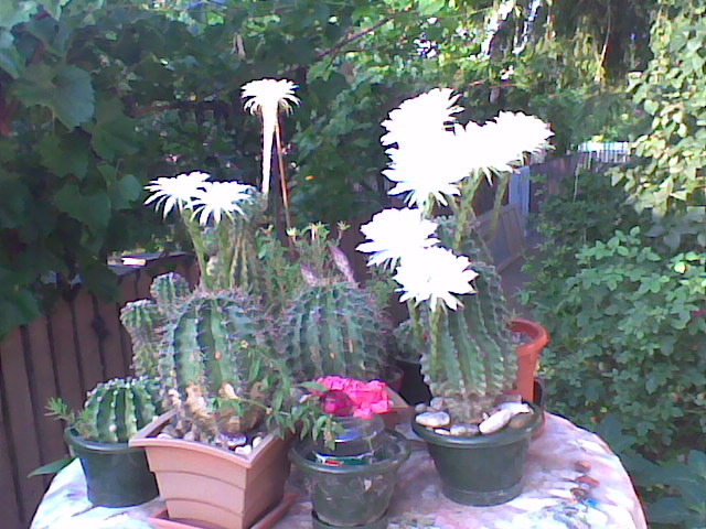 Imag089