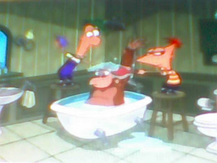 snapshot-178 - Pineas si Ferb