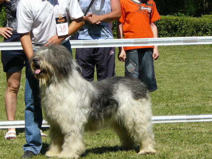 ioana cac ploiesti 005 - CAC Ploiesti - 20 iunie 2009