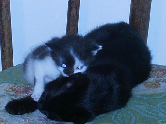 IMAG0009