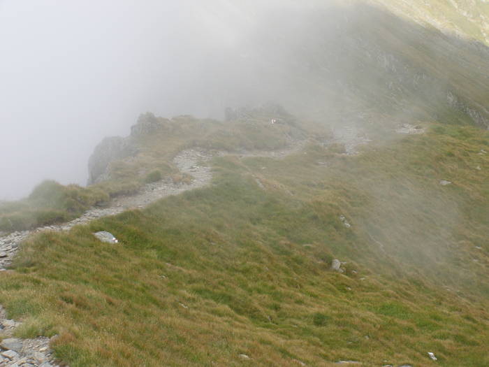 P8252361