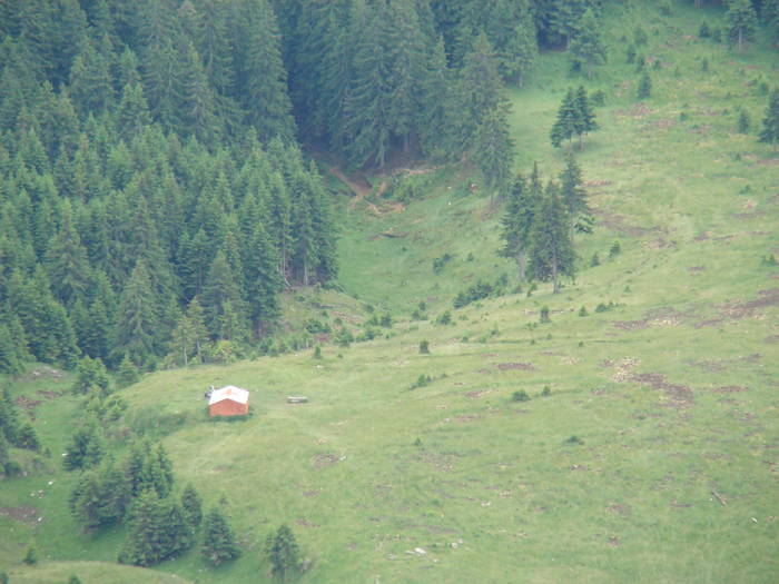 DSC03811 - Concediu 2009