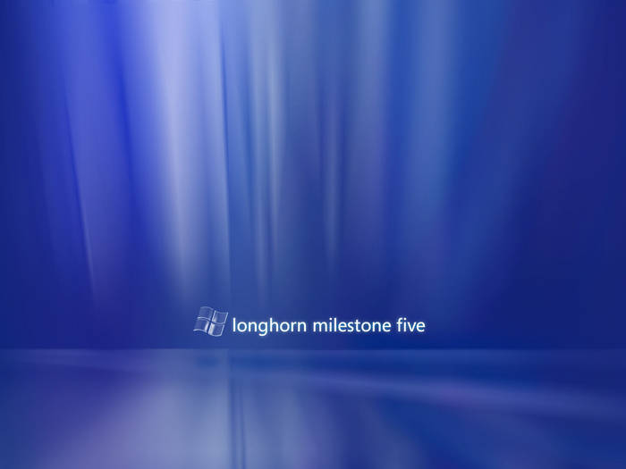 Longhorn M5 - POZE WINDOWS VISTA