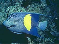 076 - poze muuuuuuuuuuuuuulte