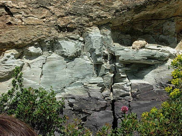 aprilie_2oo9 181 - Iesire didactica