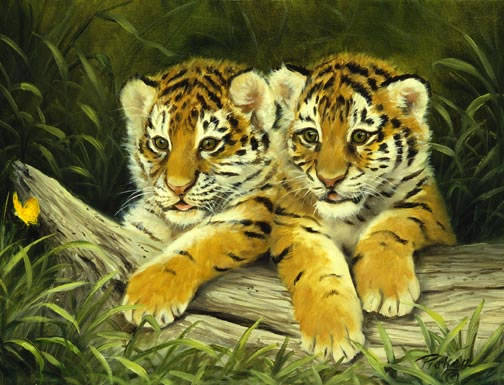 Two Tiger Cubs_jpg - pozee