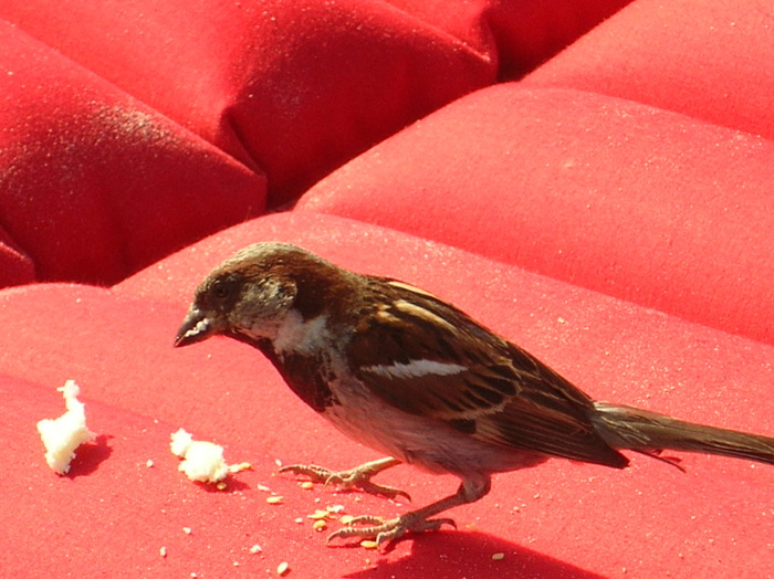 DSCN5550; 1MB JPEG 7/24/2007 9:16AM
