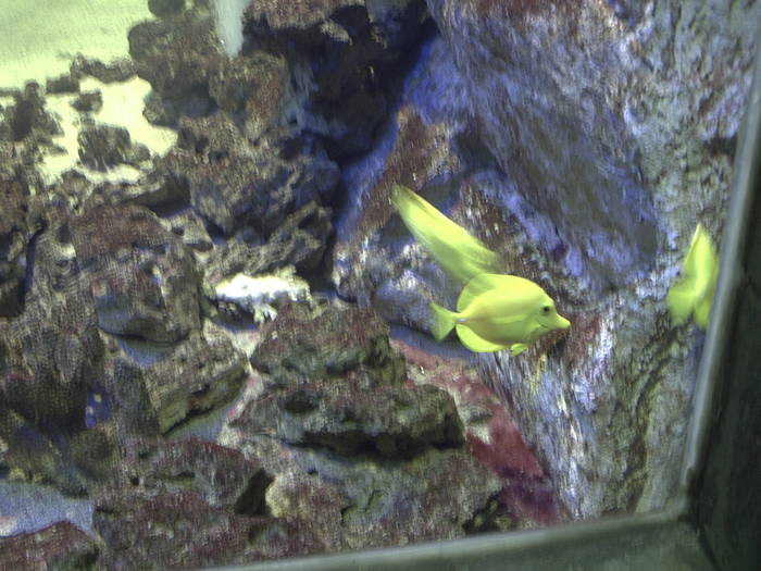 PICT0139 - EXCURSIE  in DELTA