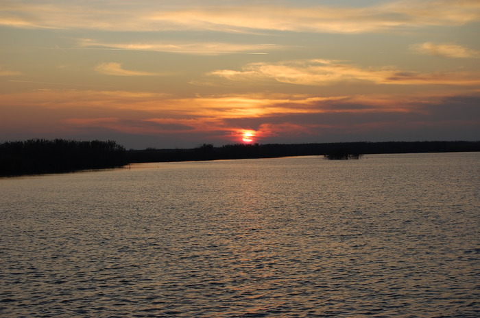 DSC_0091