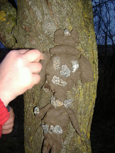 printesa din pamant realizata de fetita mea