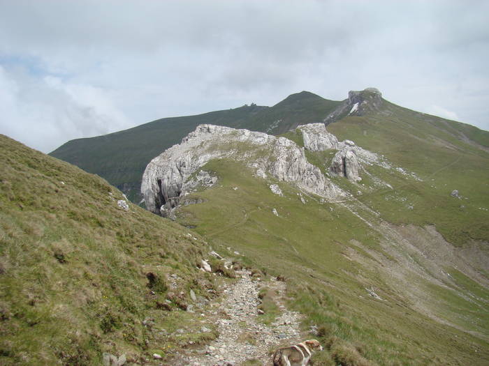 DSC03961 - Concediu 2009