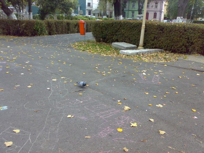 221020081426 - 18a Constanta 1