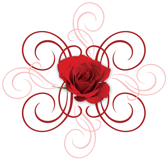 engaged-7-red-rose-2[1] - poze