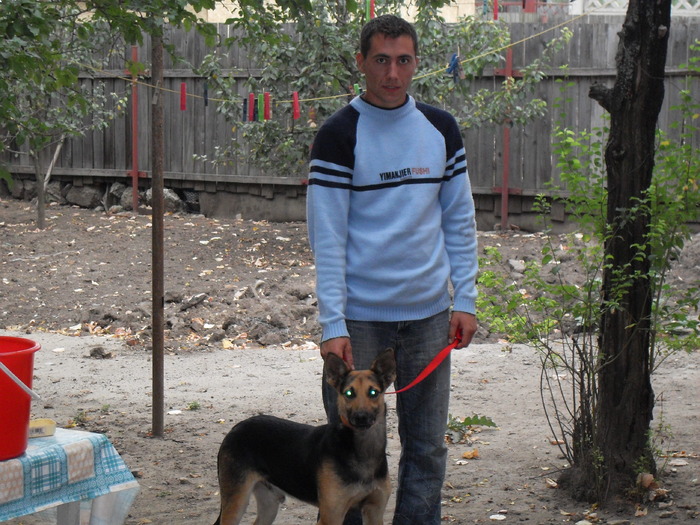 SDC11275 - paza porumbeilor
