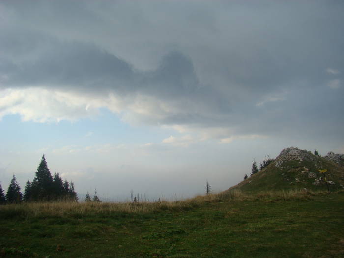 DSC00381