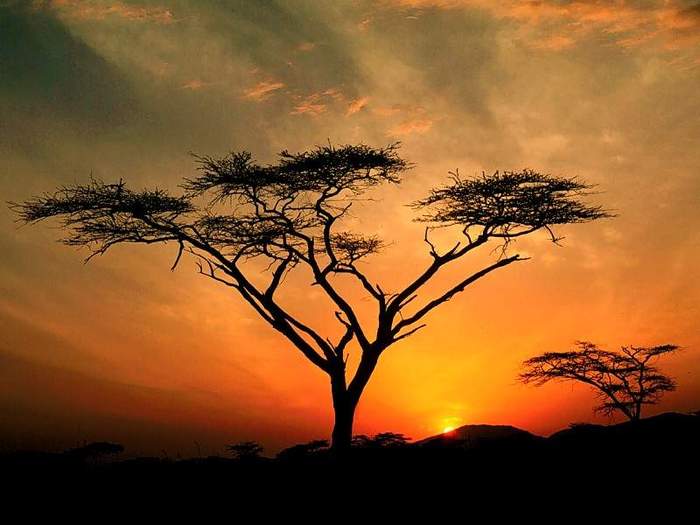 Saburu Hills Sunrise - Samburu Game Reservation, Kenya