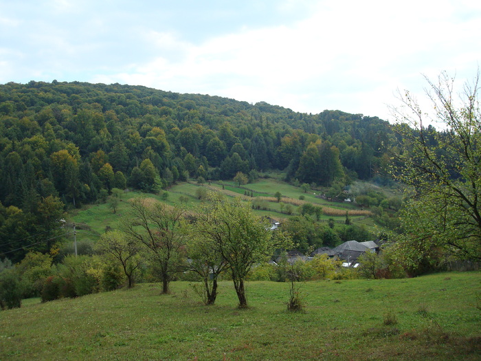 DSC03588 - SCHITU FRUMOASA BALCANI