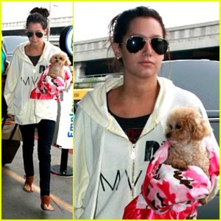 rara - ASHLEY TISDALE POZE RARE