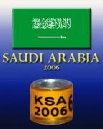 Arabia Saudita - Indici tari - Inele din toata lumea