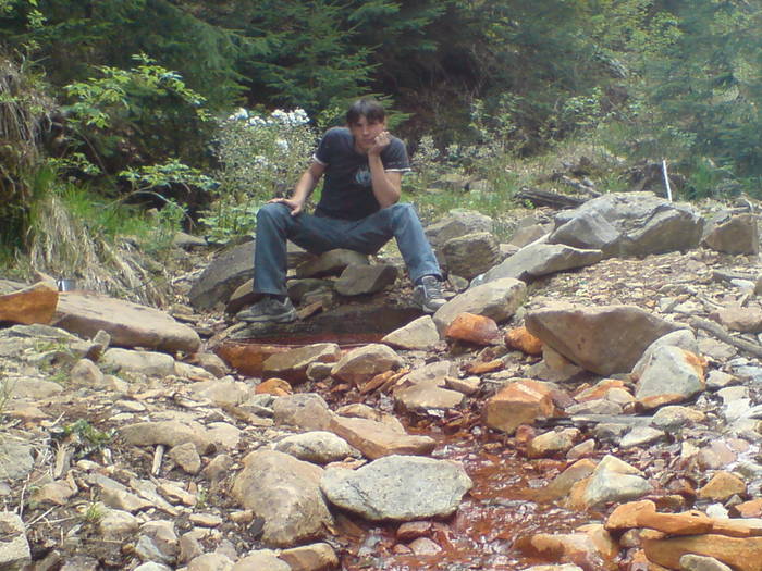 DSC02406 - asta da viata