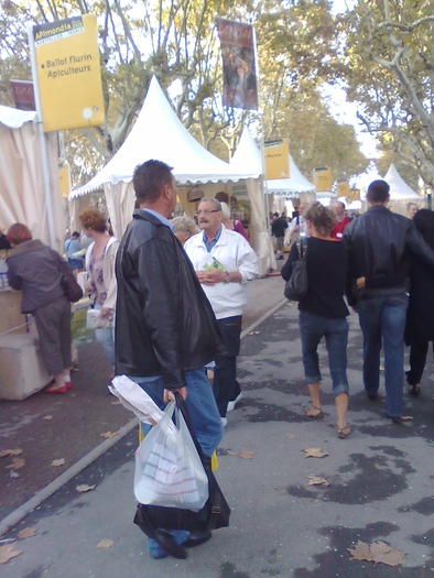 pe esplanada - ApiMondia