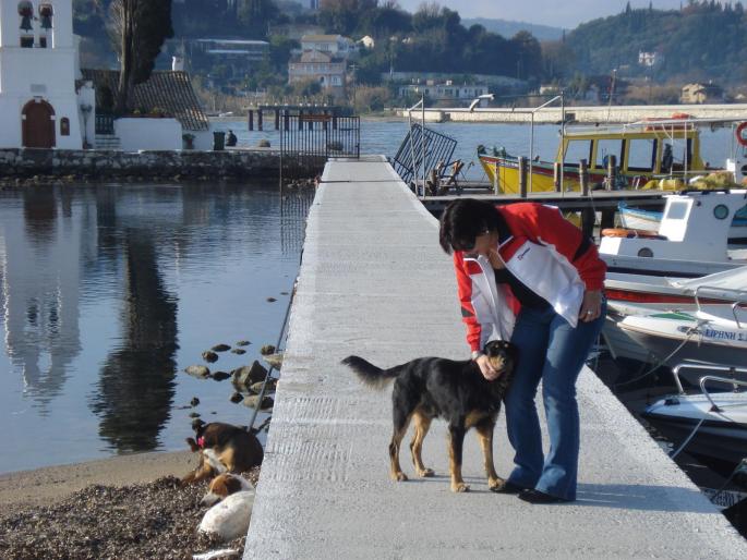 DSC08027 - 2008 REVELION CORFU